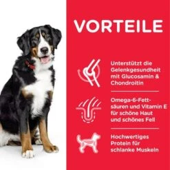 Hill's Science Plan Adult 1-5 Large Mit Huhn 8 Hill's Science Plan Adult 1-5 Large Mit Huhn -Angebote Hunde Moden Store 105729 hills scienceplan adult large chicken 14kg hs 05 4