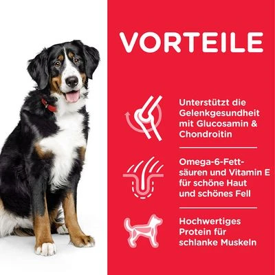 Hill's Science Plan Adult 1-5 Large Mit Huhn 3 Hill's Science Plan Adult 1-5 Large Mit Huhn – Bild 3