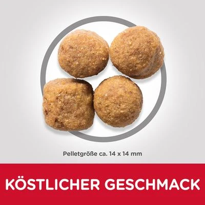 Hill's Science Plan Adult 1-5 Large Mit Huhn 2 Hill's Science Plan Adult 1-5 Large Mit Huhn – Bild 2