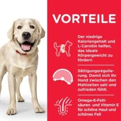 Hill's Science Plan Adult Light Large Breed Mit Huhn -Angebote Hunde Moden Store 105732 hills scienceplan adultlight largebreed chicken 14kg hs 06 3