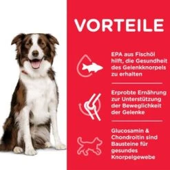 Hill's Science Plan Adult 1+ Healthy Mobility Medium Mit Huhn -Angebote Hunde Moden Store 105926 hills sp healthymobility medium hs 02 1