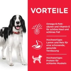 Hill's Science Plan Adult 1-6 Medium Mit Lamm & Reis 8 Hill's Science Plan Adult 1-6 Medium Mit Lamm & Reis -Angebote Hunde Moden Store 105927 hills scienceplan adult medium lambrice 14kg hs 05 4