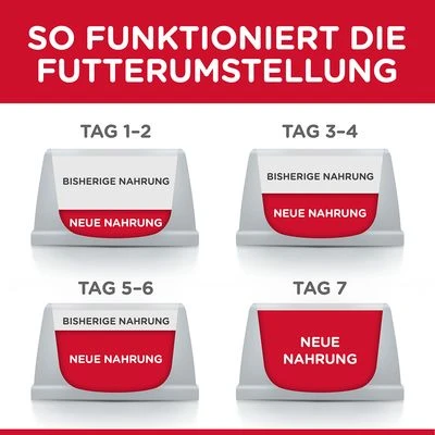 Hill's Science Plan Adult 1-6 Medium Mit Lamm & Reis 5 Hill's Science Plan Adult 1-6 Medium Mit Lamm & Reis – Bild 5