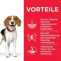 Hill's Science Plan Adult 1+ Perfect Weight Medium Mit Huhn 7 Hill's Science Plan Adult 1+ Perfect Weight Medium Mit Huhn -Angebote Hunde Moden Store 105932 hills scienceplan adult perfect weight medium chicken 12kg hs 05 1