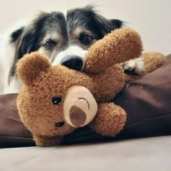 Petlando Moodles Bär -Angebote Hunde Moden Store 106623 petlando moodles bar hs 02 8