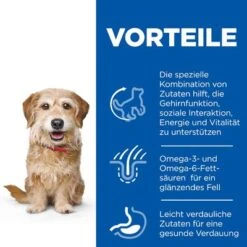 Hill's Science Plan Mature Adult Senior Vitality 7+ Small & Mini Mit Huhn -Angebote Hunde Moden Store 117798 hills sp dog senior vitality s m hs 03 9