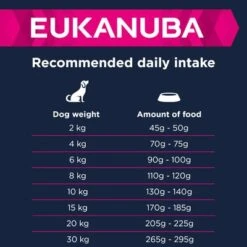 Eukanuba Senior Small & Medium Breed Lamm & Reis -Angebote Hunde Moden Store 126700 tetra eukanuba senior small medium breed lamm reis 2 6
