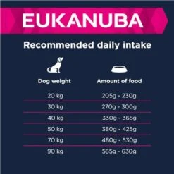 Eukanuba Adult Large Breed Lamb & Rice -Angebote Hunde Moden Store 135797 eukanuba adult large breed lamm reis feeding 3 9