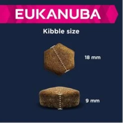 Eukanuba Adult Large Breed Lamb & Rice -Angebote Hunde Moden Store 135797 eukanuba adult large breed lamm reis kibble 4 2