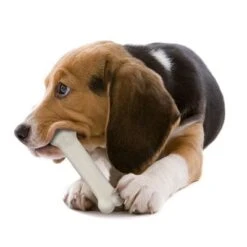 Nylabone Puppy Starter Kit Dog Chew -Angebote Hunde Moden Store 150796 interpet nylabone puppy starterkit dogchew hs 04 5