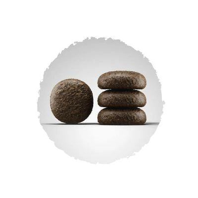 Josera Festival 2 Josera Festival – Bild 2