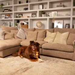 Pet Head Ditch The Dirt Shampoo -Angebote Hunde Moden Store 159700 companyofanimals pethead ditchthedirt shampoo 300ml hs 06 9