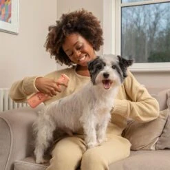 Pet Head Quick Fix Spray -Angebote Hunde Moden Store 159702 companyofanimals pethead quickfixspray 300ml hs 05 3