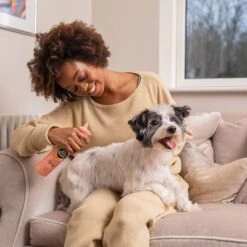 Pet Head Quick Fix Spray -Angebote Hunde Moden Store 159702 companyofanimals pethead quickfixspray 300ml hs 06 2