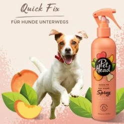 Pet Head Quick Fix Spray -Angebote Hunde Moden Store 159702 companyofanimals pethead quickfixspray 300ml hs 07 9