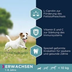 Eukanuba Adult Small Breed Huhn -Angebote Hunde Moden Store 162905 tetragmbhiams eukanuba adult smallbreed huhn dog 3kg hs 04 2