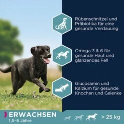 Eukanuba Adult Large Breed Huhn -Angebote Hunde Moden Store 162907 tetragmbhiams eukanuba adult largebreed huhn dog d15kg hs 03 6