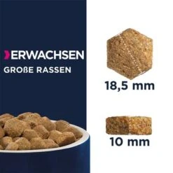 Eukanuba Adult Large Breed Huhn -Angebote Hunde Moden Store 162907 tetragmbhiams eukanuba adult largebreed huhn dog d15kg hs 05 3