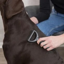 Trixie Fell-Entfilzer -Angebote Hunde Moden Store 16656 trixie fell entfilzer hs 3 2