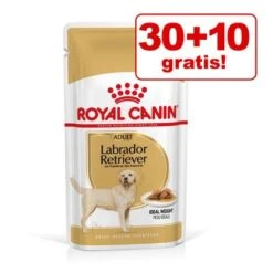30 + 10 / 36 + 12 Gratis! 40 X 140 G / 48 X 85 G Royal Canin Adult -Angebote Hunde Moden Store 1675848962834 untitled 1 6