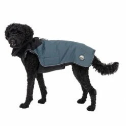 TIAKI Hundemantel Warmup Pro Skyneu 24 TIAKI Hundemantel Warmup Pro Skyneu -Angebote Hunde Moden Store 180298 warmup pro sky fg 6915 6