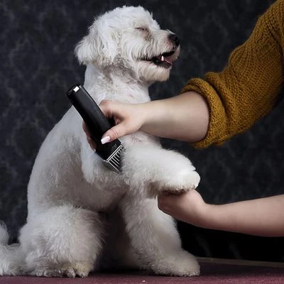 Schermaschine Moser Arco Pro 4 Schermaschine Moser Arco Pro – Bild 4