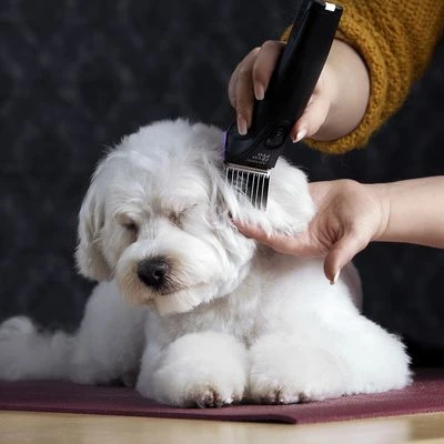 Schermaschine Moser Arco Pro 5 Schermaschine Moser Arco Pro – Bild 5