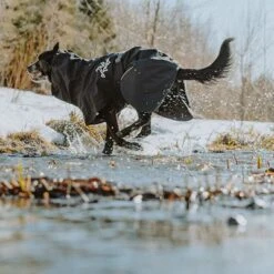 Hurtta Bare Regenmantel Coal 16 Hurtta Bare Regenmantel Coal -Angebote Hunde Moden Store 188096 188096 186536 186537 186538 186539 186540 hurtta forzooplus bare regenmantel coal hs 11 1