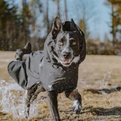 Hurtta Bare Regenmantel Coal 21 Hurtta Bare Regenmantel Coal -Angebote Hunde Moden Store 188096 188096 186536 186537 186538 186539 186540 hurtta forzooplus bare regenmantel coal hs 13 5