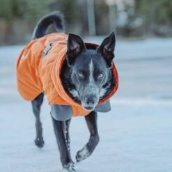 Hurtta Bare Winterjacke Sunrise -Angebote Hunde Moden Store 188296 188297 188298 188299 188300 188301 188302 hurtta forzooplus bare winterjacke sunrise hs 16 1