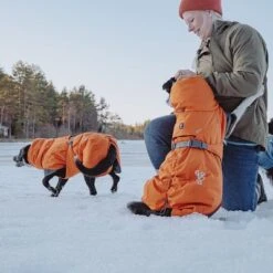 Hurtta Bare Winterjacke Sunrise -Angebote Hunde Moden Store 188296 188297 188298 188299 188300 188301 188302 hurtta forzooplus bare winterjacke sunrise hs 23 1