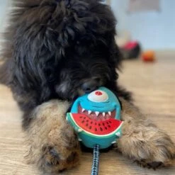 Max & Molly Hundespielzeug Bubba King -Angebote Hunde Moden Store 191100 maxn molly kuscheltier spielzeug bubba king hs 04 5