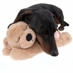 Hundespielzeug Mr. Snugglez -Angebote Hunde Moden Store 193223 mr snugglez fg 7907 1