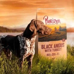 Purizon Probierpaket 2 X 1 Kg -Angebote Hunde Moden Store 1962773b 193e 4dc7 a0e5 2bcdc41fc4b4 2