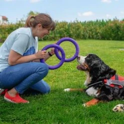 Ferplast Hundespielzeug Puller -Angebote Hunde Moden Store 199296 ferplastitalien ferplast hundespielzeug puller midi 27cm hs 11 7