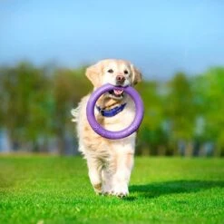 Ferplast Hundespielzeug Puller -Angebote Hunde Moden Store 199296 ferplastitalien ferplast hundespielzeug puller midi 27cm hs 16 5