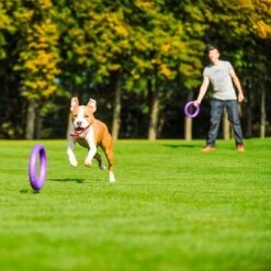 Ferplast Hundespielzeug Puller -Angebote Hunde Moden Store 199296 ferplastitalien ferplast hundespielzeug puller midi 27cm hs 17 7