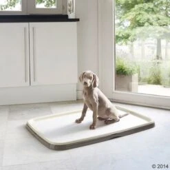 Savic Puppy Trainer Starter Set -Angebote Hunde Moden Store 1 190792 puppy trainer starter set 04 0