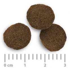 Sparpaket Purizon Classic 2 X 12 Kg -Angebote Hunde Moden Store 2020 08 purizon food size 1000x1000 int 9 1