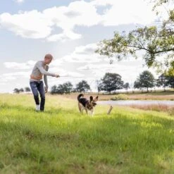 Trixie Reizangel -Angebote Hunde Moden Store 209093 trixie reizangel hs 06 8