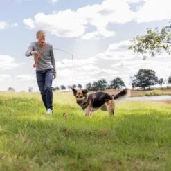 Trixie Reizangel -Angebote Hunde Moden Store 209093 trixie reizangel hs 08 7