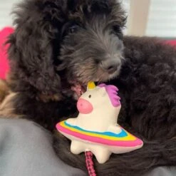 Max & Molly Hundespielzeug Magic Mikey -Angebote Hunde Moden Store 210399 maxnmolly hundespielzeug magic mikey hs 03 1