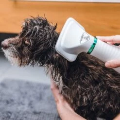 Trixie Warmluftbürste -Angebote Hunde Moden Store 212217 trixie warmluftbuerste 300w hs 19 8