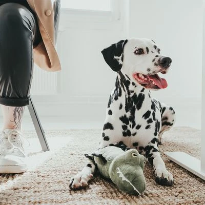 HUNTER Hundespielzeug Tough Toys Krokodil 2 HUNTER Hundespielzeug Tough Toys Krokodil – Bild 2