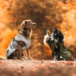 HUNTER Hundemantel Uppsala -Angebote Hunde Moden Store 213996 213997 213998 212936 212937 212938 212939 hunter hundemantel uppsala bejie hs 21 5