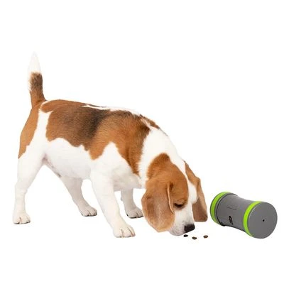 PetSafe Kibble Chase Selbstbewegendes Belohnungsspielzeug 2 PetSafe Kibble Chase Selbstbewegendes Belohnungsspielzeug – Bild 2