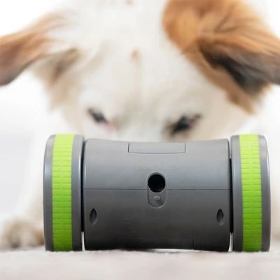 PetSafe Kibble Chase Selbstbewegendes Belohnungsspielzeug 4 PetSafe Kibble Chase Selbstbewegendes Belohnungsspielzeug – Bild 4