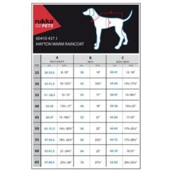 Rukka® Hayton Warm Regenmantel, Türkis -Angebote Hunde Moden Store 216706 217396 217397 217398 216707 lfashion rukkapets hayton warm regenmantel tuerkis hs 06 4