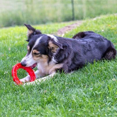 Ferplast Smile Kauring, Rot – Bild 7