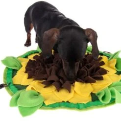 Schnüffelteppich Sunnyflower -Angebote Hunde Moden Store 229108 sunnyflower fg 0639 1